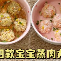 排敏记录、软嫩肉丸 | 宝宝辅食9.24日报