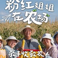 麦麦丰收、燕云快闪 | 麦当劳9.24日报