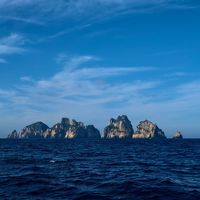 海帆赛11月开赛，"环球搭子"刷屏：这个秋冬，普通人到底能不能上船？