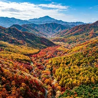 请3休13去东北赏秋：红海滩现在正红，本溪枫叶要等到10月8日，别把顺序排反了