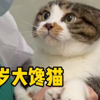 长期回购与养猫花费 | 养猫9.24日报