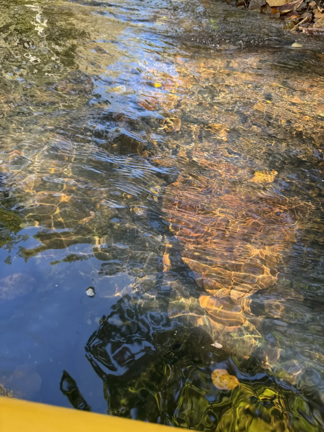 漂流别只留给夏天:双节前的