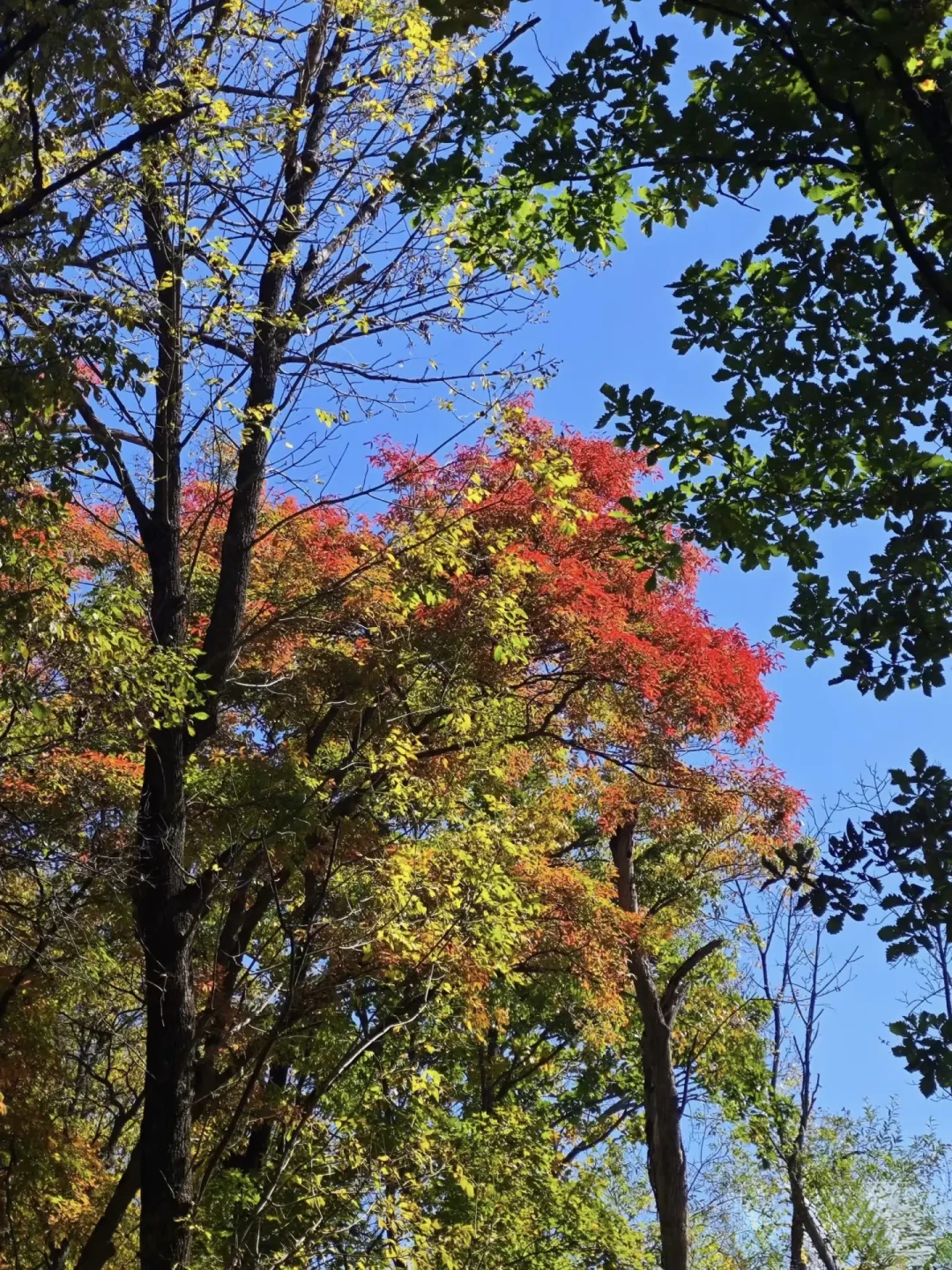 漂流别只留给夏天:双节前的