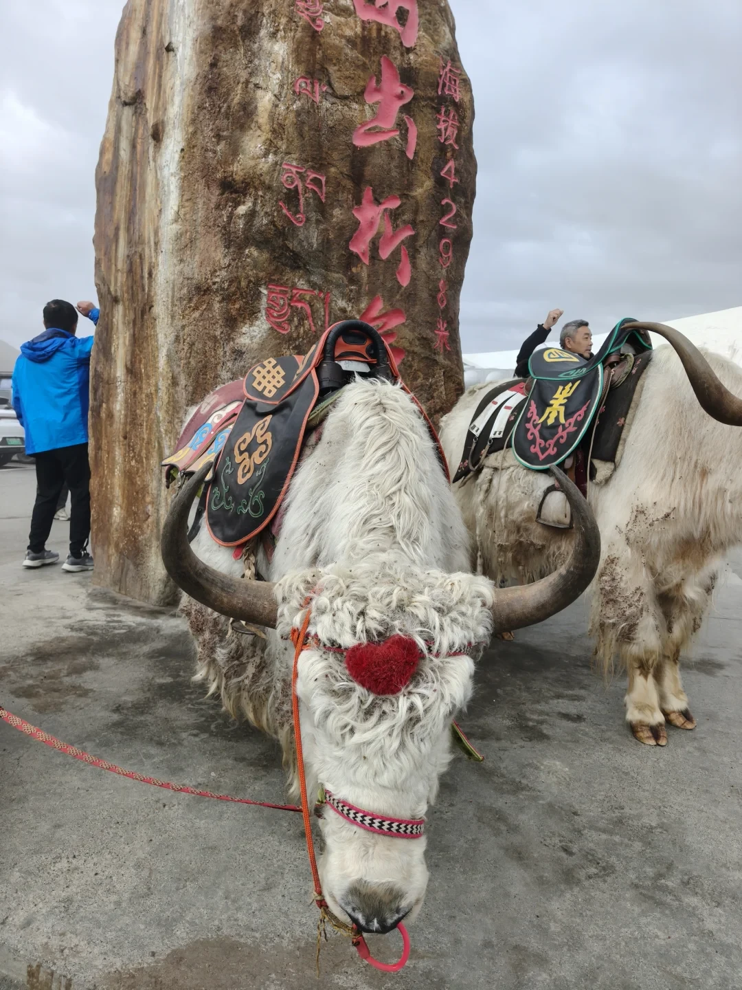 国庆把摩友拦在高原上的,从来不只是雪:两周实地播报拆开,三类封路没有一种会被导航提前预告