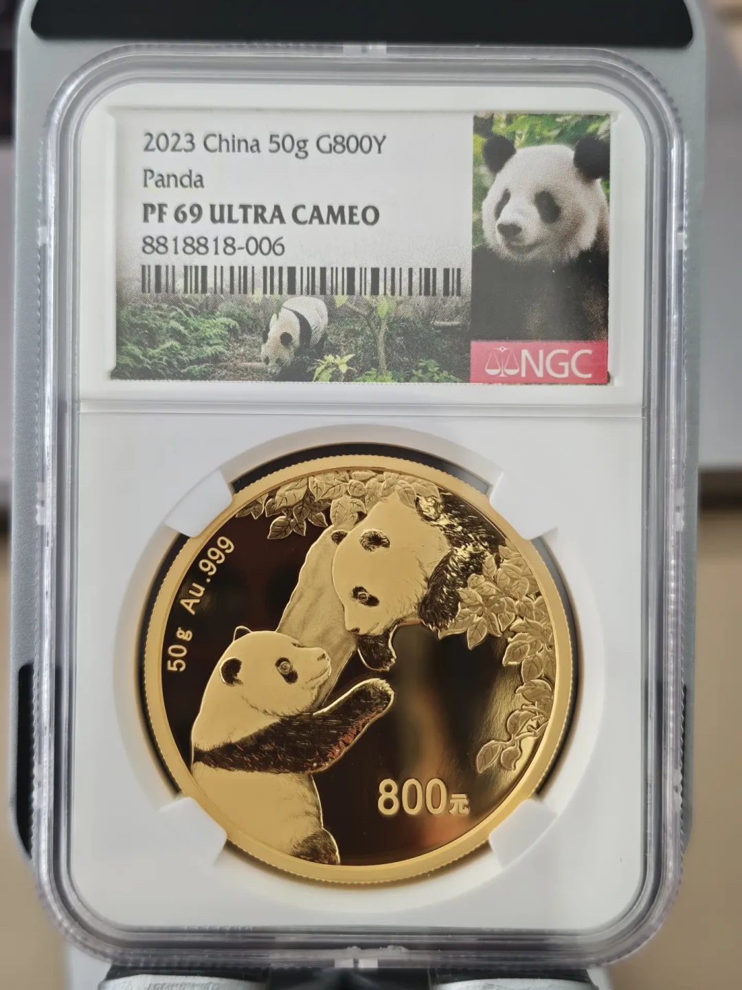金价930连跌,银行经理开始推荐熊猫金币:15元/克工费的普猫能攒,35%溢价的精猫在破发