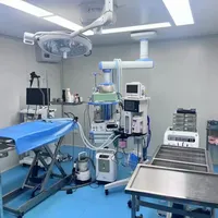 你家狗的瘸不是"好了"，是不疼了：8千到2万+的十字韧带账单和"保守上岸"话术，大狗家庭先看清20kg这条线