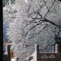 气的人不弃坑，无聊的人当场退出：今年 10 条《明朝那些事儿》弃坑帖，排出来一条比书评诚实的曲线