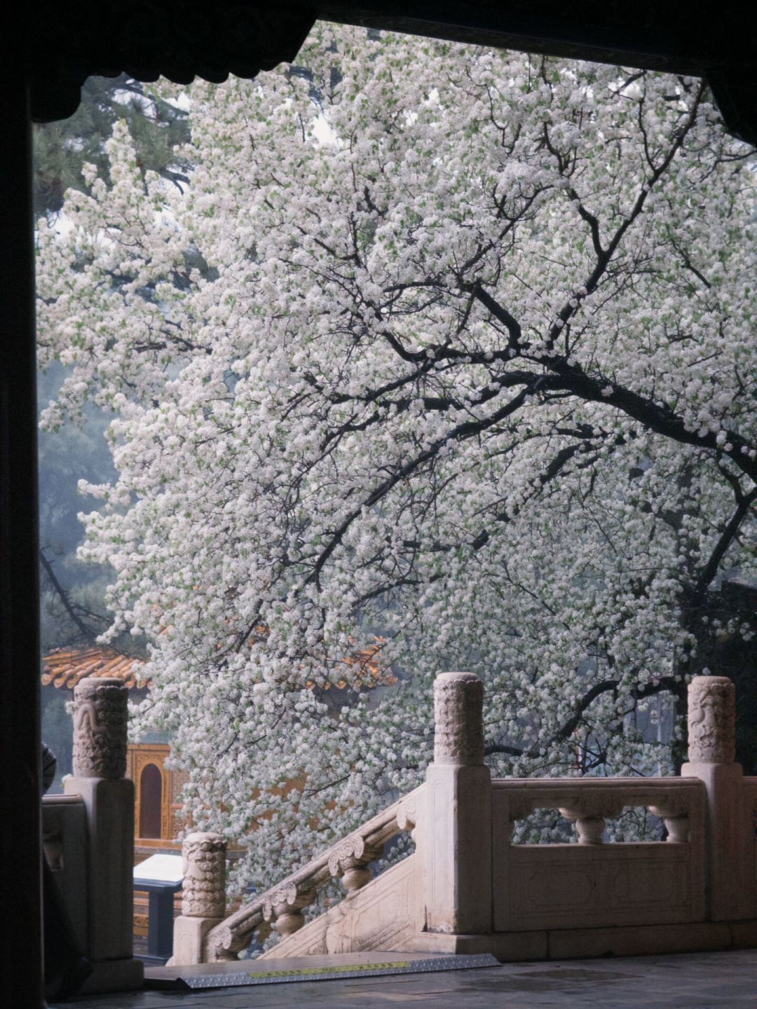 气的人不弃坑,无聊的人当场退出:今年 10 条《明朝那些事儿》弃坑帖,排出来一条比书评诚实的曲线