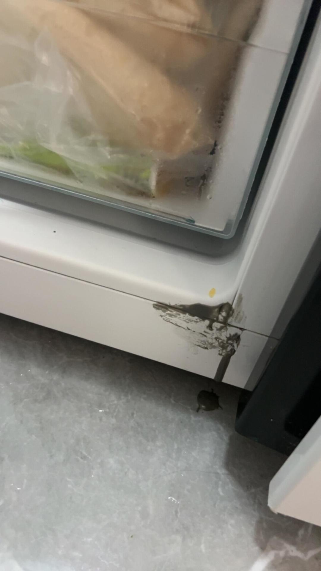 西门子iQ100冰箱9月再爆雷:对完78条小红书维权晒单和1份换新全流程记录,这批机器的修、换、购得拆成三本账
