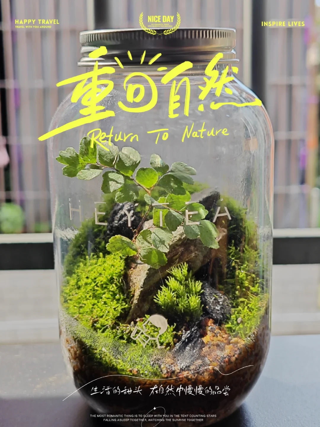 喜茶瓶生态缸火了:为什么第6天就浑浊爆菌膜?先看懂桌面生态缸的“存活线”