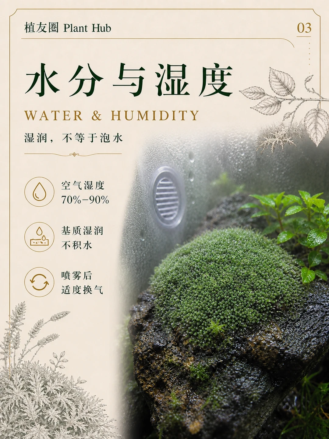 喜茶瓶生态缸火了:为什么第6天就浑浊爆菌膜?先看懂桌面生态缸的“存活线”