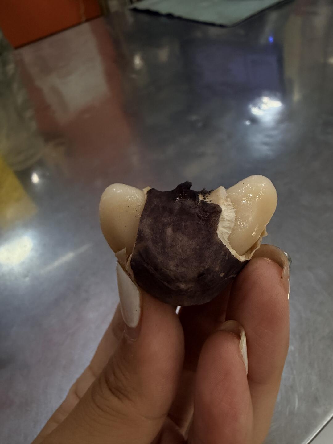 秋分菱角刚上市,中秋还有2天:先用指甲掐一下壳,分清嫩菱老菱,再决定生吃还是煮着吃