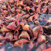 秋分菱角刚上市，中秋还有2天：先用指甲掐一下壳，分清嫩菱老菱，再决定生吃还是煮着吃