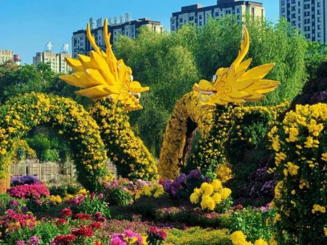 金秋双节焕新迎八方游客 哈尔滨百余场文旅活动诚意满格