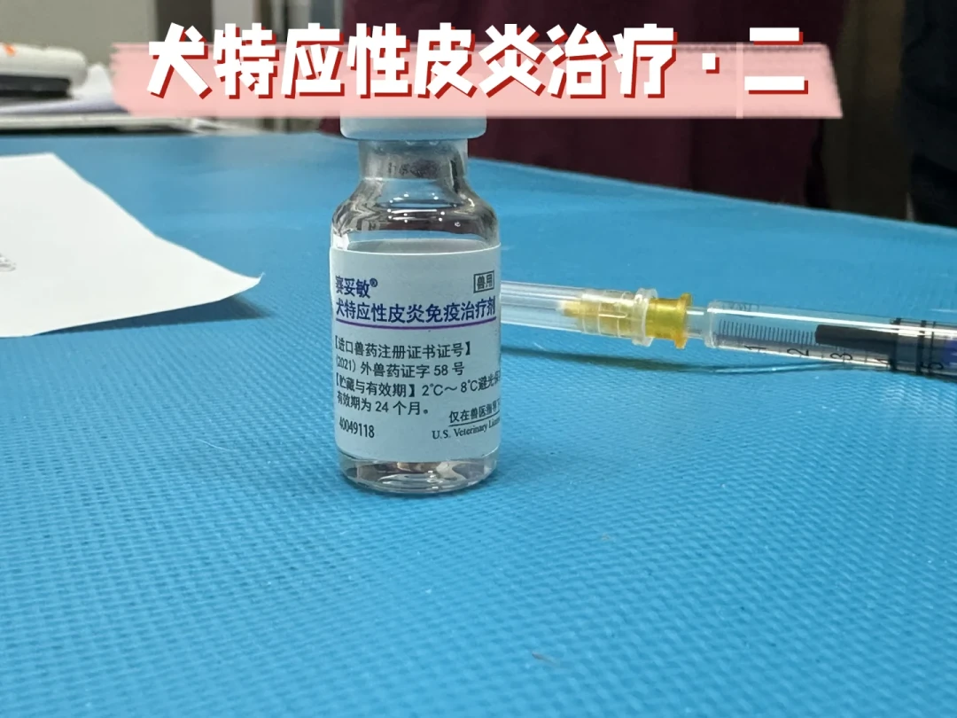 换季狗挠秃了先别排队打针:几十块的镜检账,和550元一针的止痒针账