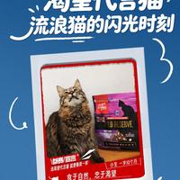 代言猫海选、7+换粮 | Orijen/渴望9.24日报