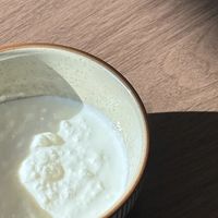 一夜之间都在“繁殖”盒马开菲尔：酸奶引子只能用一次，它凭什么敢喊无限续杯？