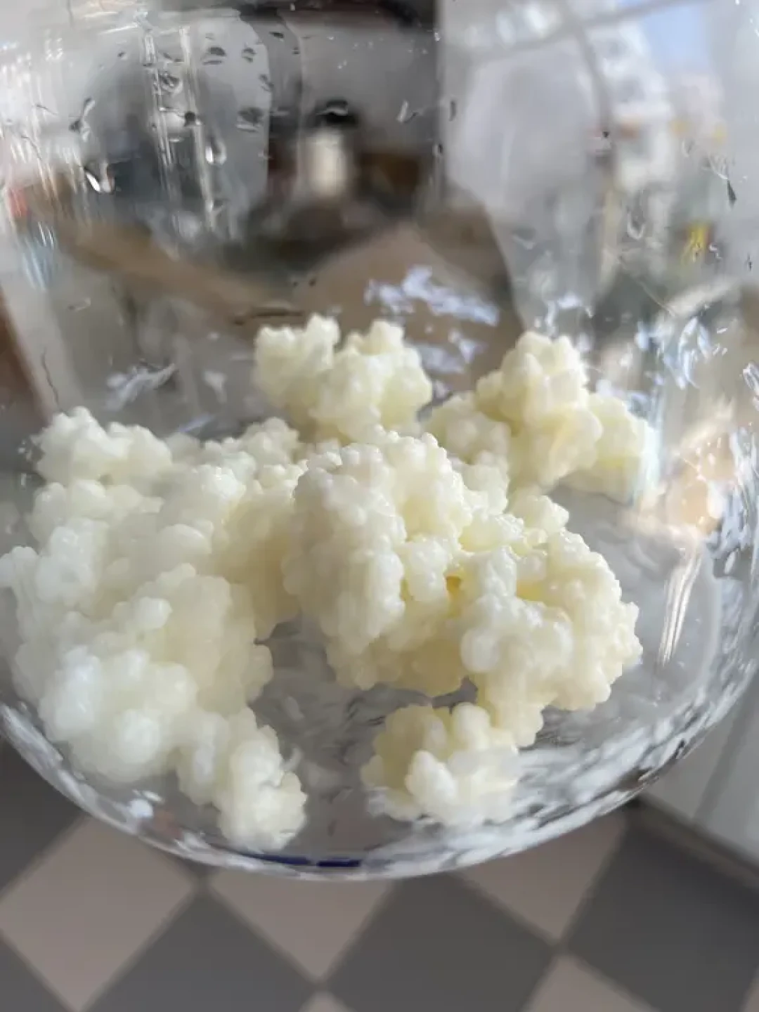 一夜之间都在“繁殖”盒马开菲尔:酸奶引子只能用一次,它凭什么敢喊无限续杯?