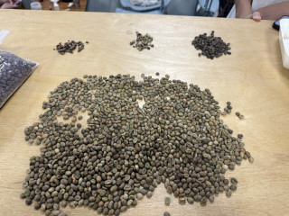 生豆130一公斤，烘完只剩八两半：咖啡豆涨价后翻完全网自烘帖，这笔账多数人一开始就算错