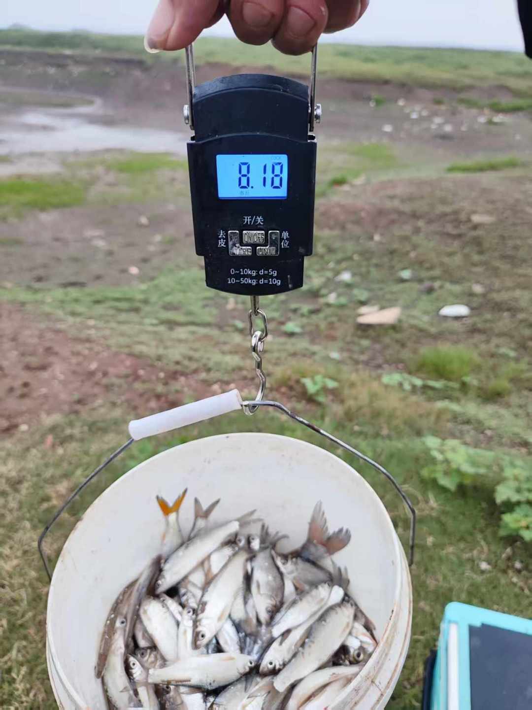 9月那帖吵了26条评论的答案:第一次下黑坑,先别问要不要买竿,先问塘子限不限竿