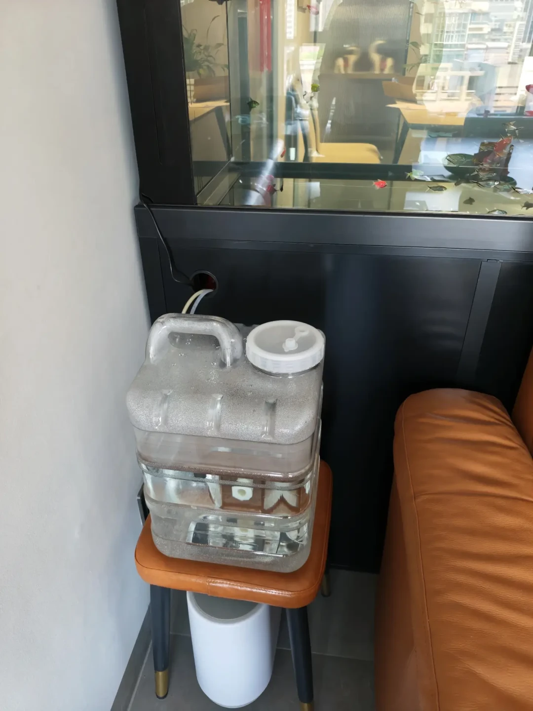 13天连休,鱼缸的水位线比喂食器更急:我把全网补水翻车帖对了一遍——出事的多半不是没补上,是补过头