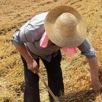 大衣哥的三本账刷屏：给儿子只留菜园、给自己备好养老金，贴补孙子“有个度”到底难在哪