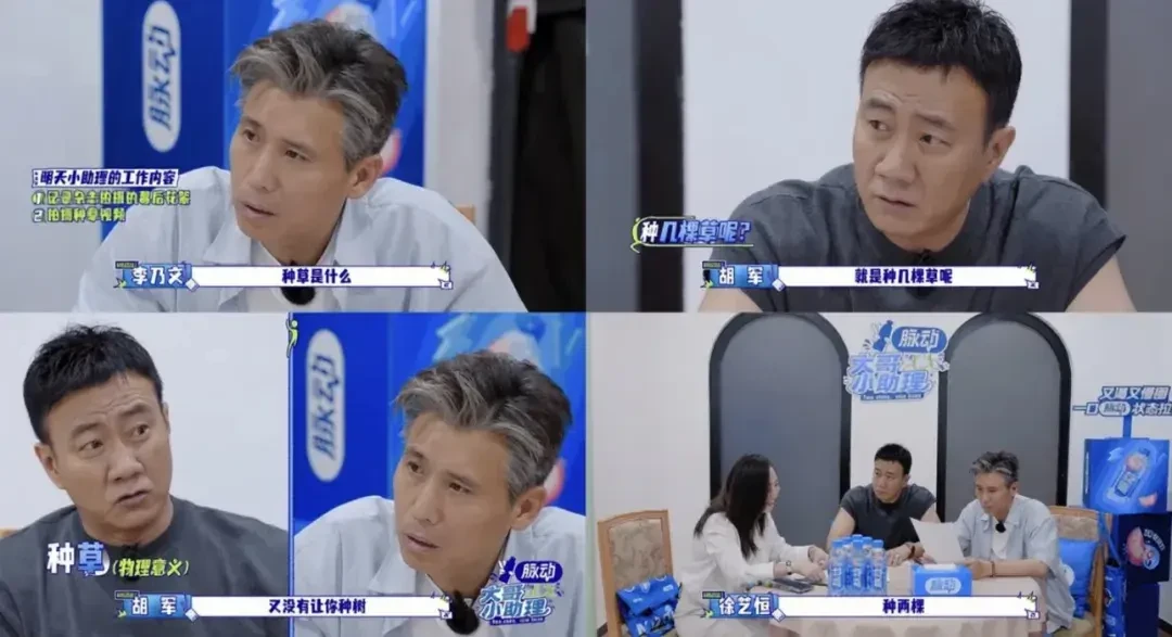 花少2导演的新综首日4k无人理,5周后干到断层第一:《大哥小助理》到底值不值得开追