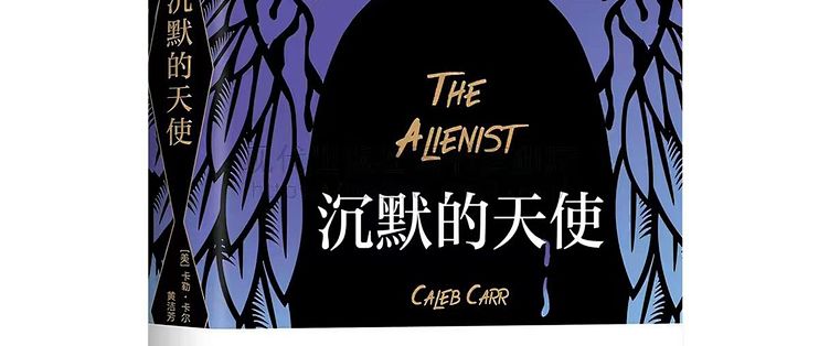 沉默的天使：在纽约最黑暗的角落，用心理学点亮第一束光