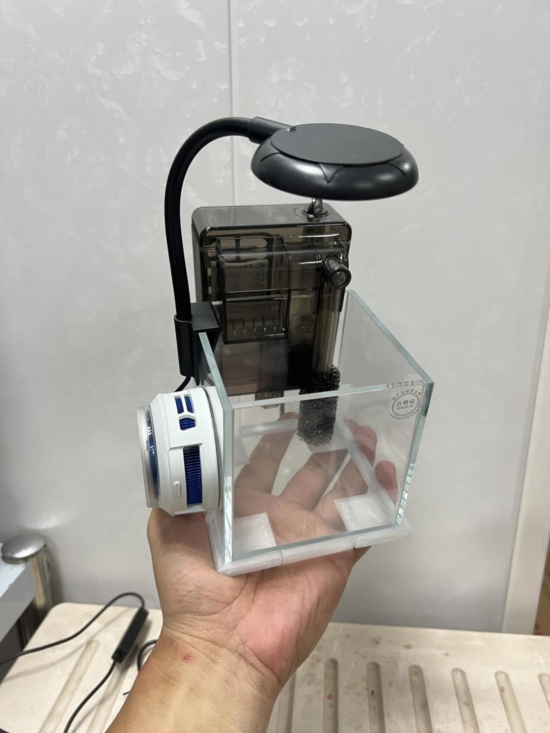 缸里的水在你没看见的时候悄悄蒸发:我把全网补水帖翻了一遍,淡水和海缸这笔账千万别互相抄