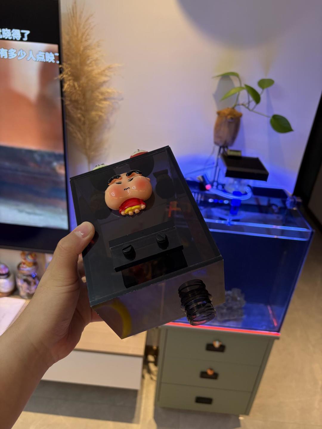 缸里的水在你没看见的时候悄悄蒸发:我把全网补水帖翻了一遍,淡水和海缸这笔账千万别互相抄