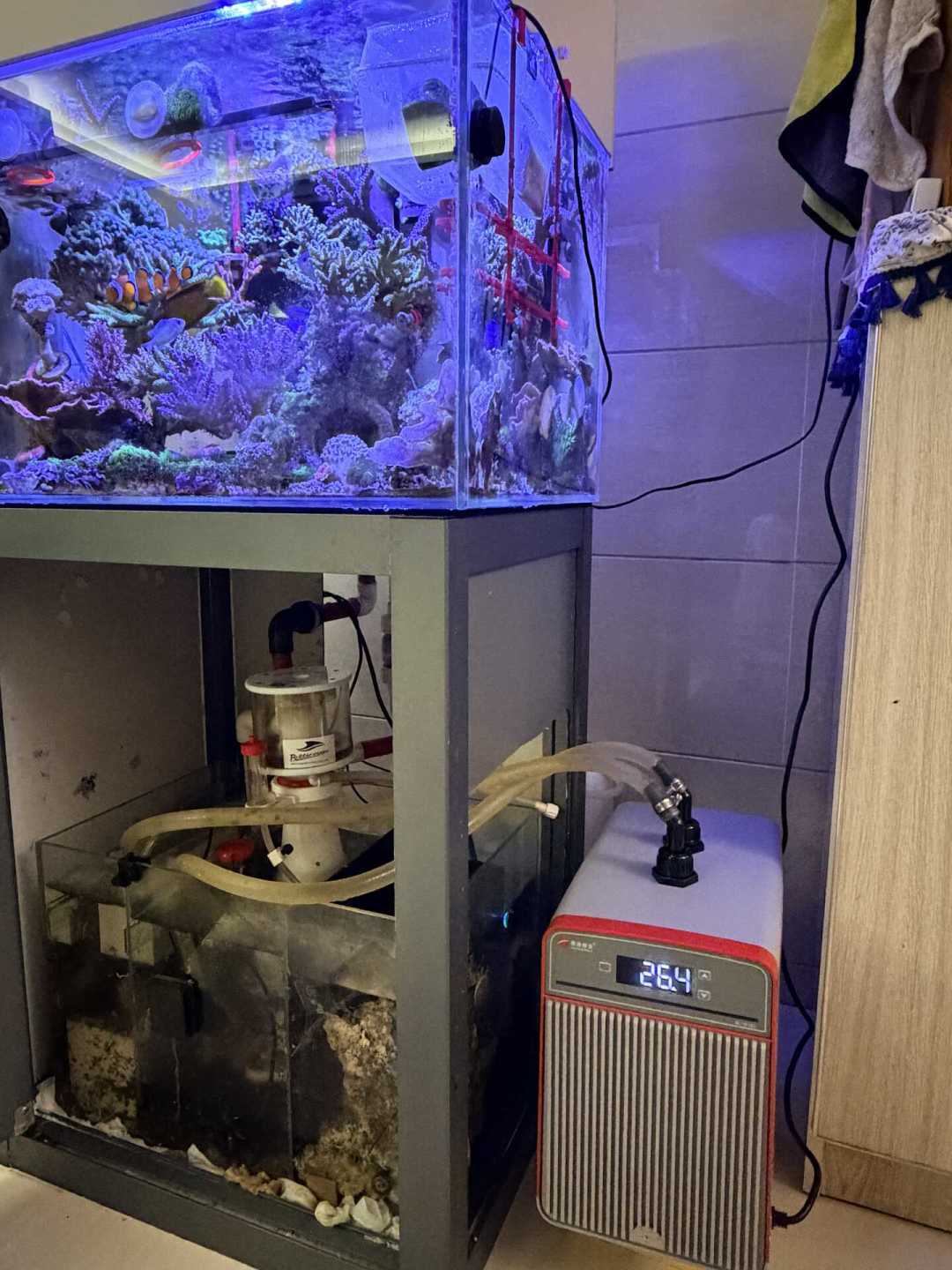 入秋别按季节拔冷水机电:翻完全网翻车账,关机的第一步其实是把温度往上调