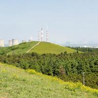 咸阳挖出的“秦王级大墓”几分真?对完全网考古公告:墓主还是“推测”,但国庆能实地对账的四座秦陵就这些