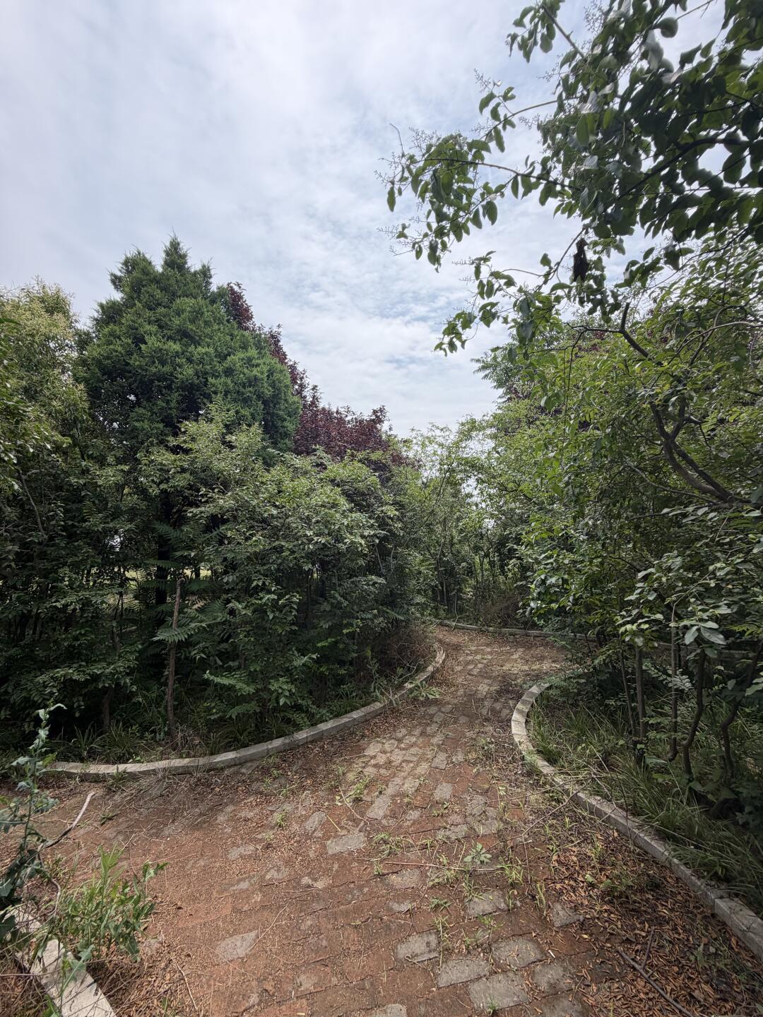 咸阳挖出的“秦王级大墓”几分真?对完全网考古公告:墓主还是“推测”,但国庆能实地对账的四座秦陵就这些