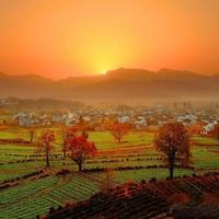秋日拍照不是技术问题，是时间管理问题：摄影师教你抓住黄金窗口