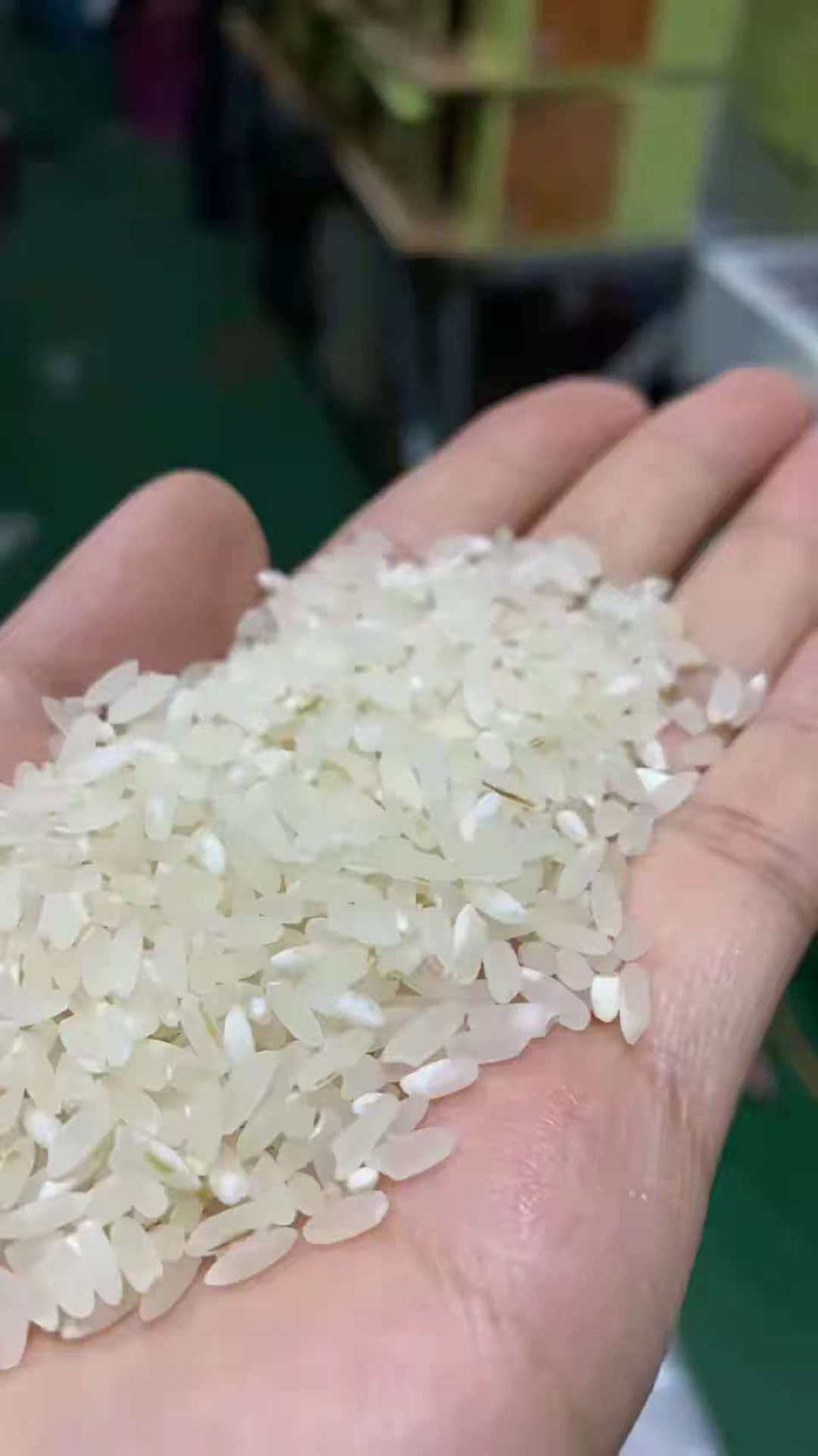 「米价要暴涨」传得正凶，秋粮收购却刚开秤，稻谷价格其实趴在地板线下：囤米、等买、换米的三本账，我逐本对完了