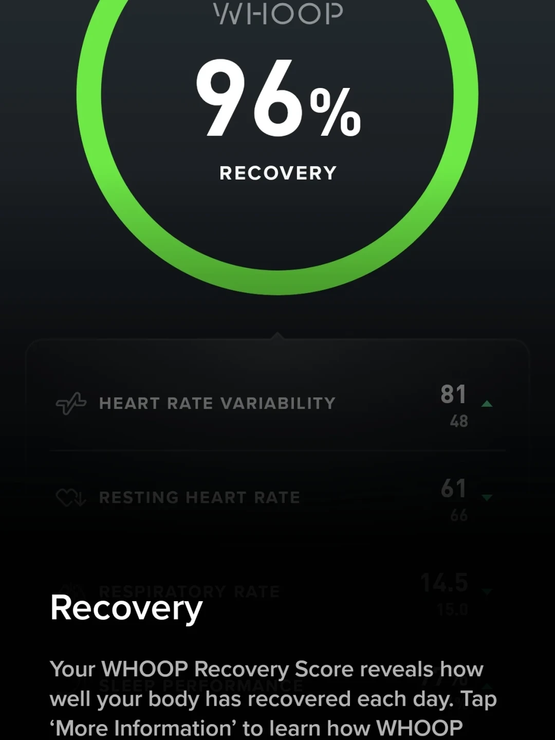 Oura 的 IPO 招股书,把