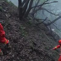 山野备忘录｜六旬夫妻被困大顶山，手机快没电让救援拖了11小时