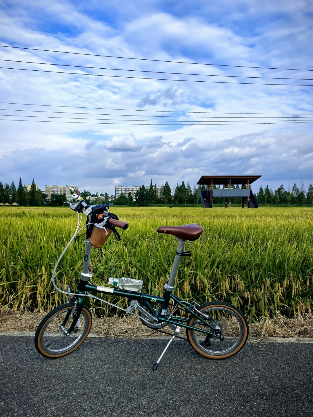 绿道骑行被