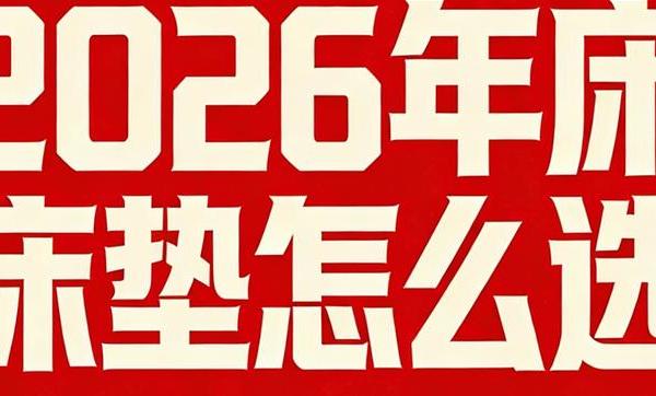 2026年全国十大名牌床垫排名：独袋护脊弹簧床垫品牌推荐汇总