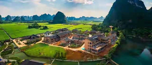 父母补蛋白怎么选 10款蛋白粉路线差异与判断要点