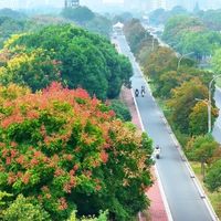 距离国庆还有7天，银行羊毛这周是一张