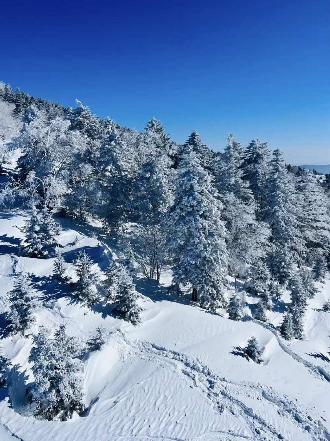 云顶降300、万龙涨1000、北大湖3月就开卖:26/27雪季早鸟大战,囤什么、避什么坑