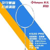 球拍选不对努力全白费！陈雨菲VS宫崎友花同款，决策指南来了