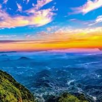 DHA藻油品牌排行榜靠谱吗 五款产品按配方路线盘点