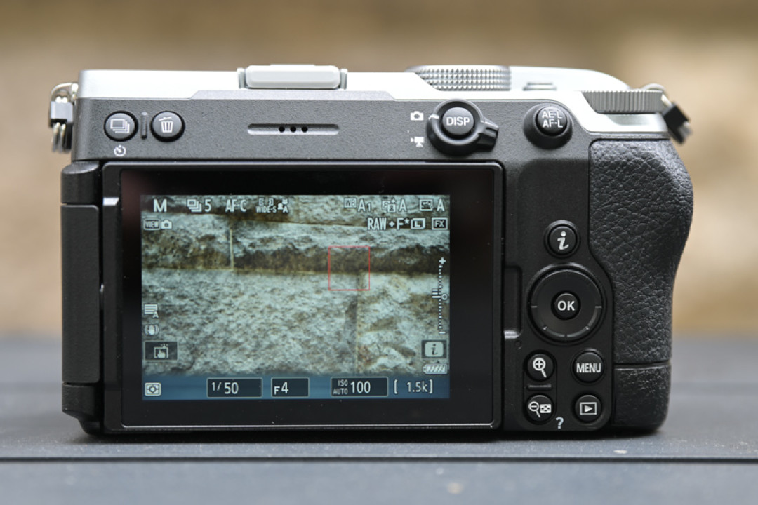 NCP_9856.jpg