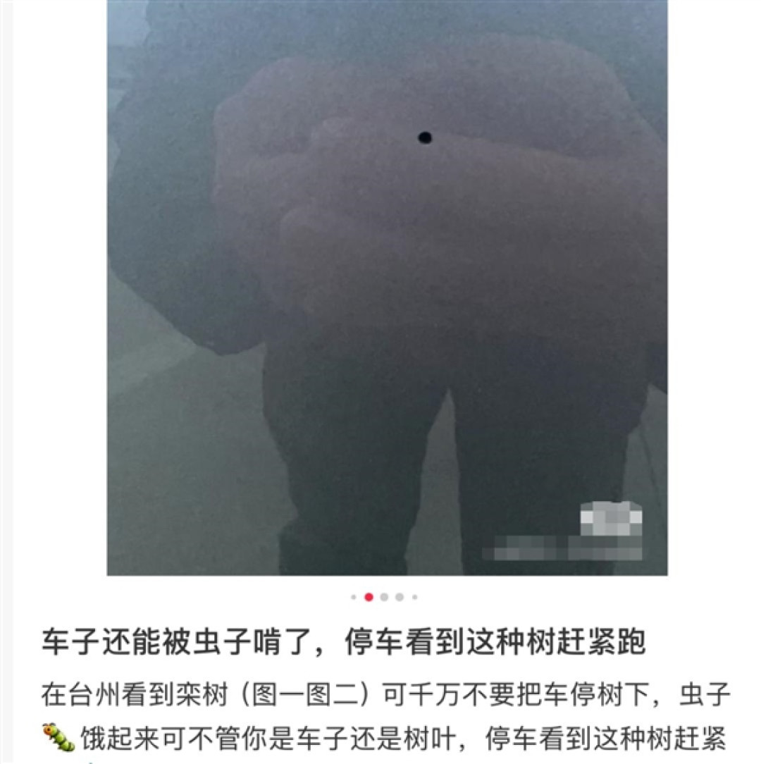 车身莫名其妙出现小圆洞!多地街头近期频现 不少车主已中招