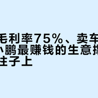 卖技术毛利率75%、卖车只有12%：小鹏最赚钱的生意撑在大众一根柱子上
