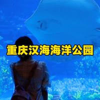 赴一场海洋之约，把假期交给蔚蓝🐬