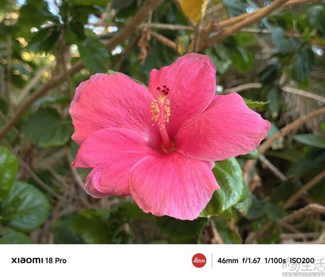 小米18 Pro首发体验:小屏旗舰这次更有想象力