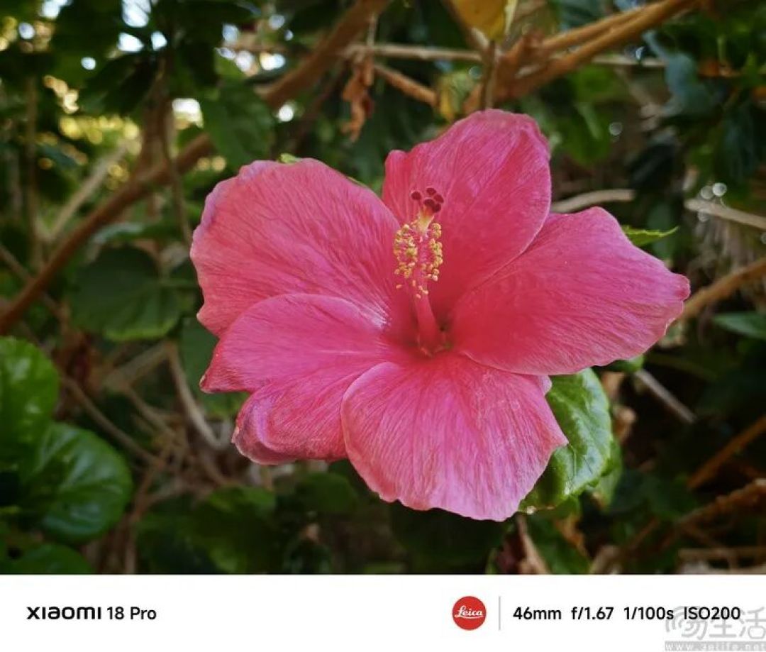 小米18 Pro首发体验:小屏旗舰这次更有想象力